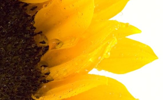 Our Collaborative Summer Mass Schedule Begins Sunday, July 7 Our Collaborative Summer Mass Schedule Begins Sunday, July 7