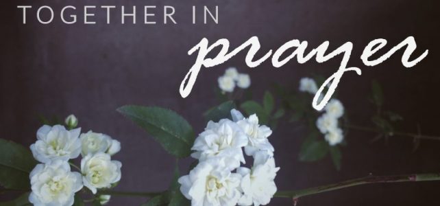 New Ways to Participate in the Mass and Engage Your Faith New Ways to Participate in the Mass and Engage Your Faith