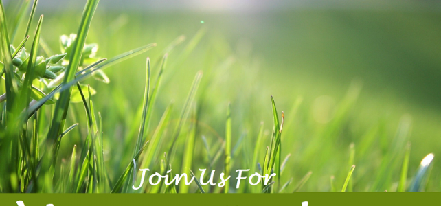 Outdoor Masses This Weekend July 11-12 Outdoor Masses This Weekend July 11-12