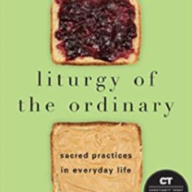 Embrace the Sacred in the Ordinary: A Book Study for Women