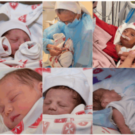 Holy Family Hospital of Bethlehem Update