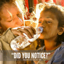 A Reflection on <i>The Parable of the Sheep and the Goats</i> A Reflection on <i>The Parable of the Sheep and the Goats</i>