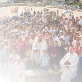 Boston Catholic Appeal Update