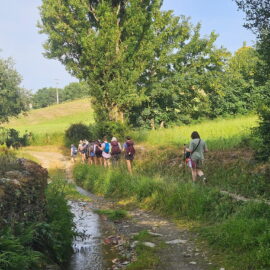 Day 9: Wednesday, June 24 – Part 2 | “Still We Persevere!”